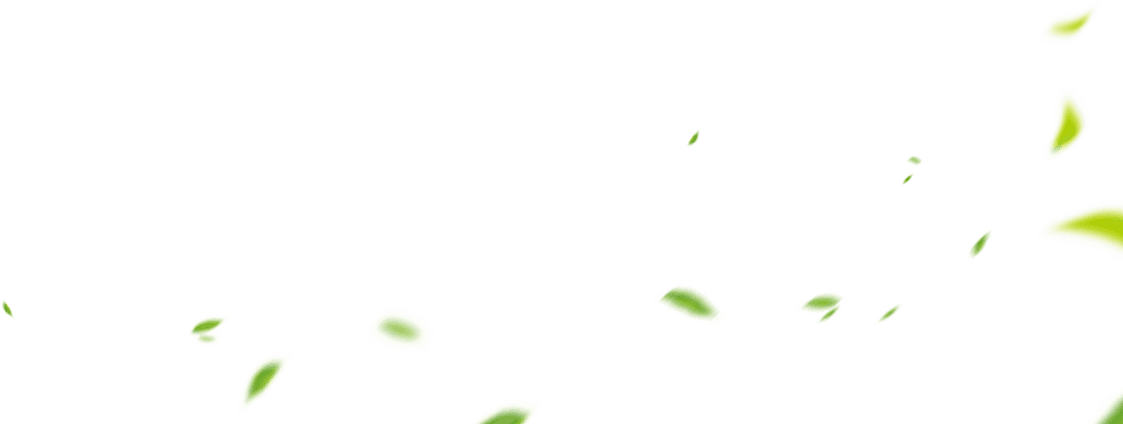 deco