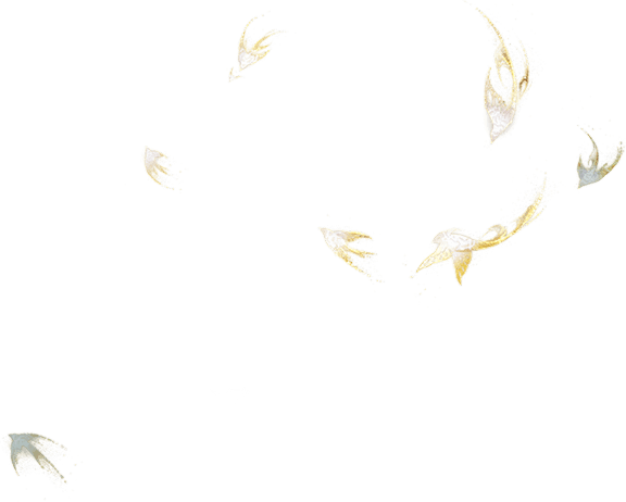 deco